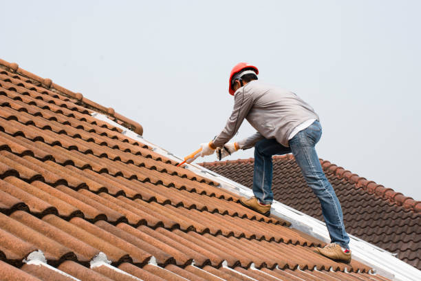 Trusted Templeton, CA Roofing service Experts